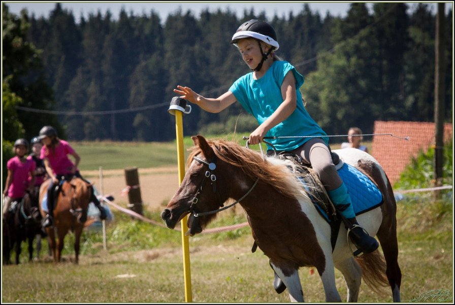 Mounted Games 103